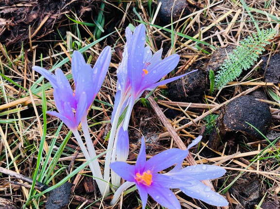 22-09-10 17-56-08 1971